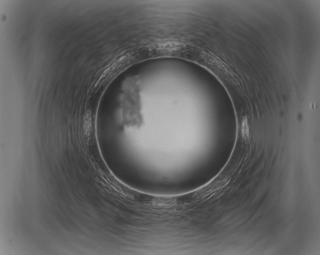 X0000083611299200702201239