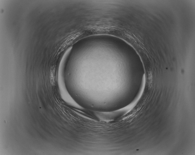 X0000083611300200702201239