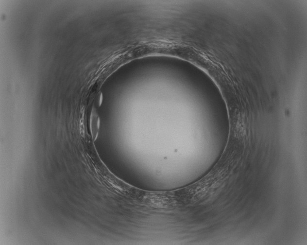 X0000083611301200702201239