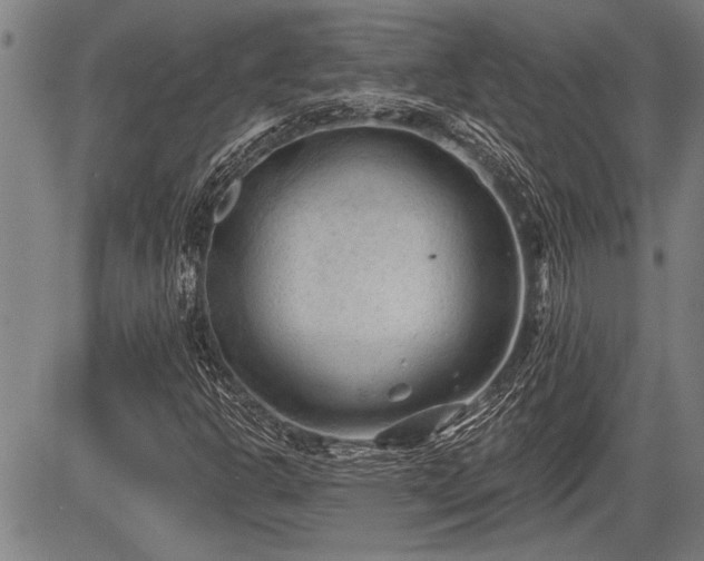 X0000083611302200702201239