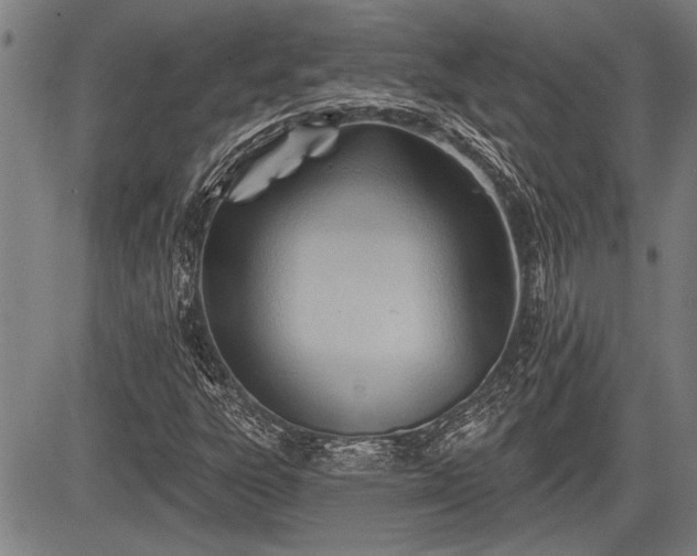 X0000083611303200702201239