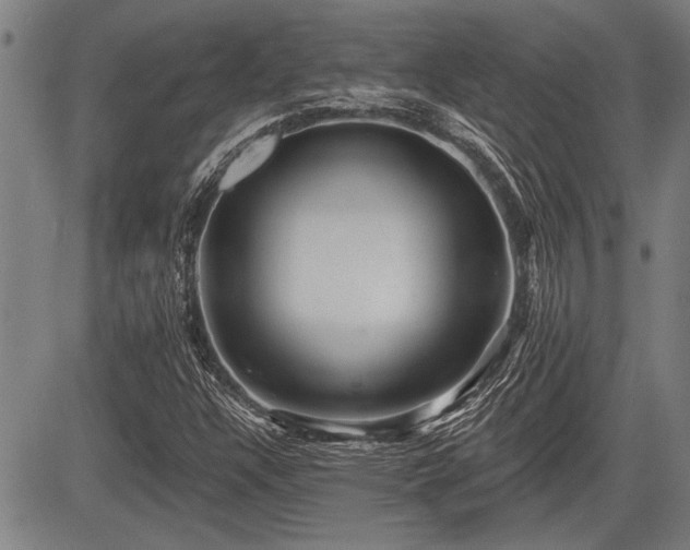 X0000083611304200702201239