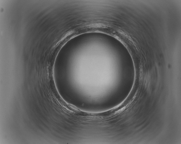 X0000083611305200702201239