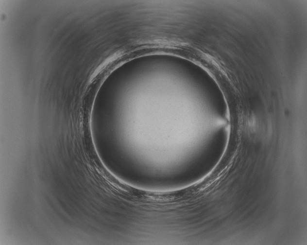 X0000083611307200702201239