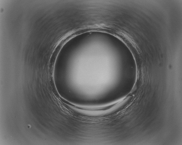 X0000083611308200702201239