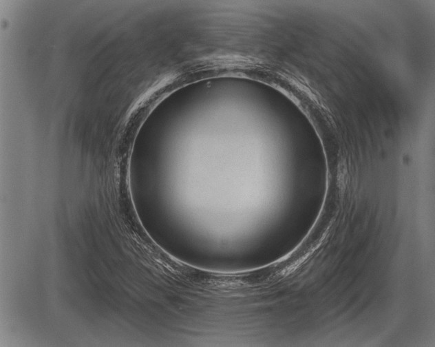 X0000083611309200702201239