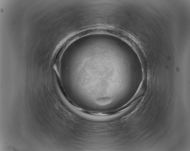 X0000083611310200702201239