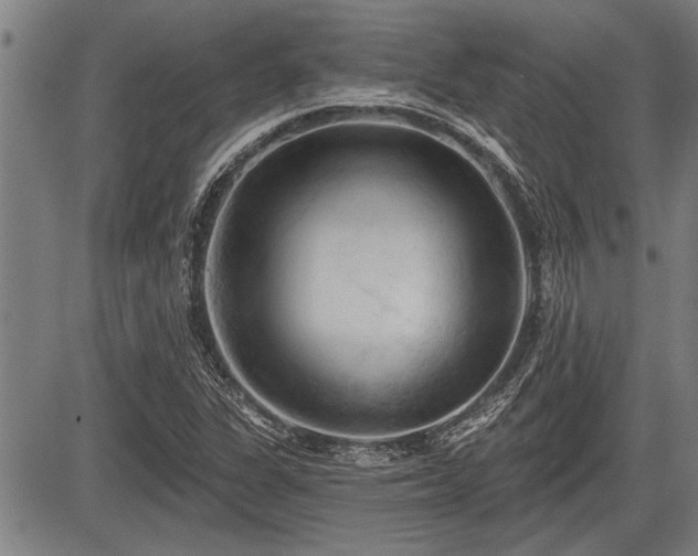 X0000083611311200702201239