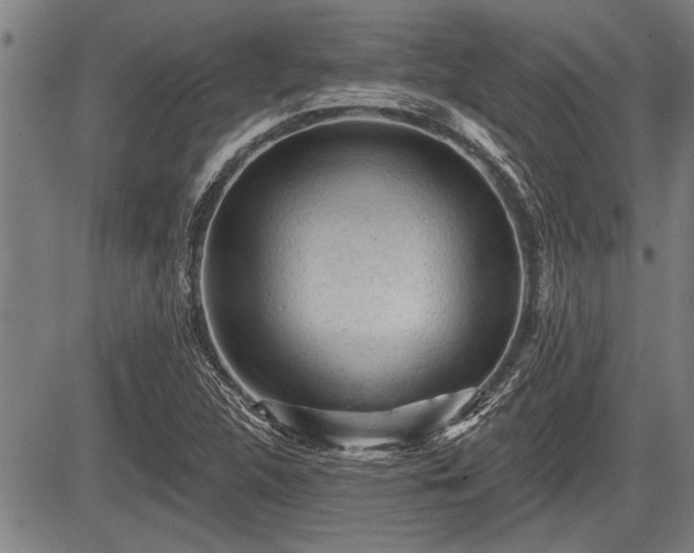 X0000083611312200702201239