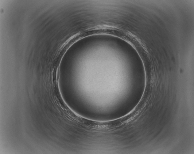 X0000083611313200702201239