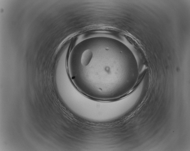 X0000083611314200702201239