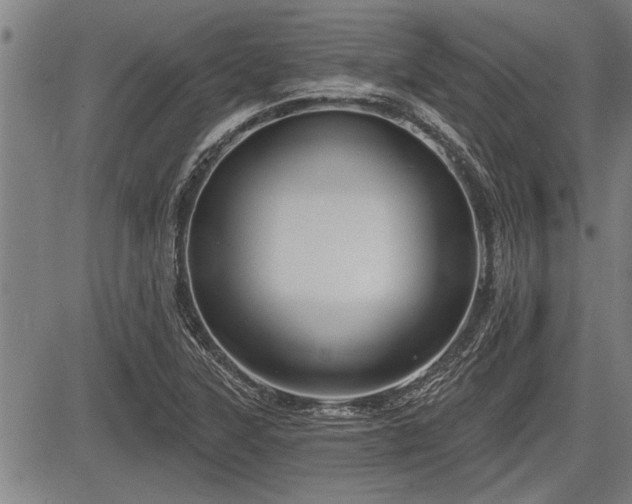 X0000083611315200702201239