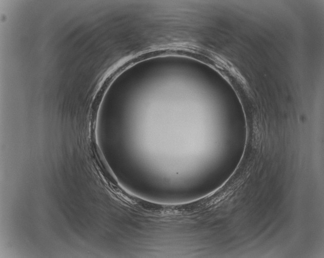 X0000083611316200702201239