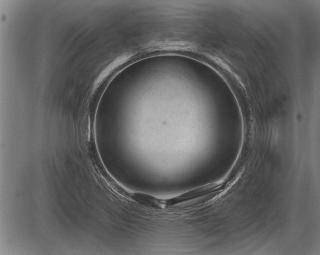 X0000083611317200702201239