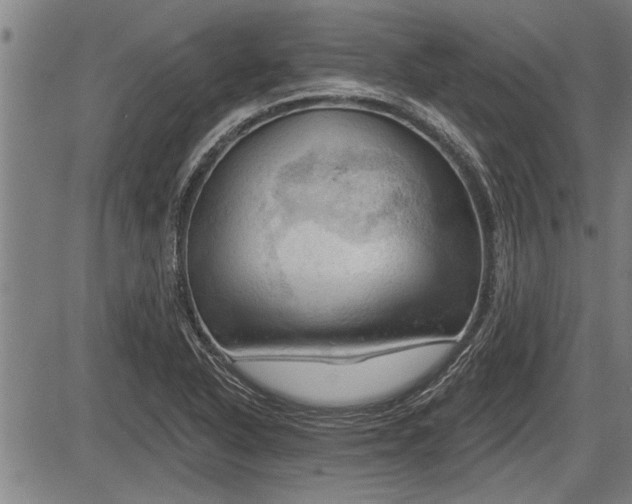 X0000083611318200702201239