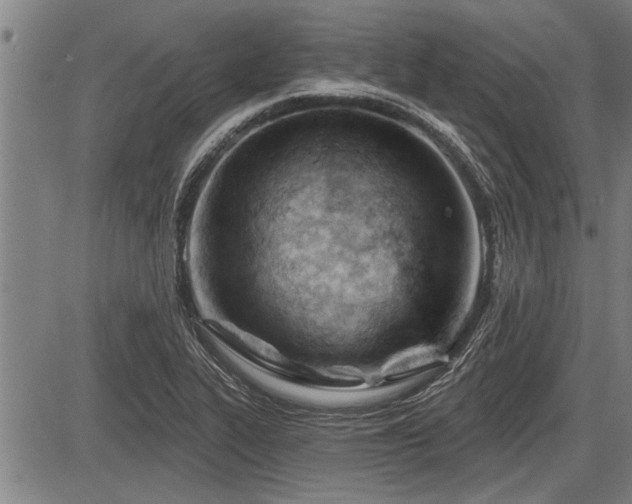 X0000083611319200702201239