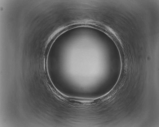 X0000083611320200702201239