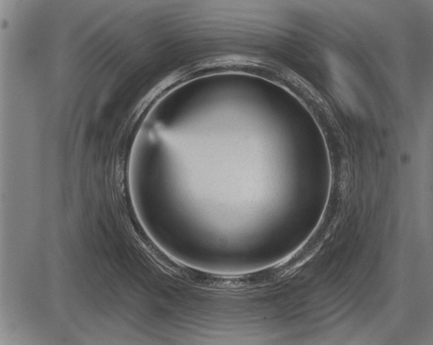 X0000083611321200702201239