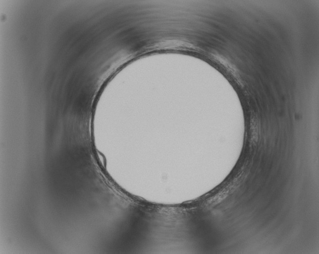 X0000083611322200702201239