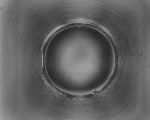 X0000083611323200702201239