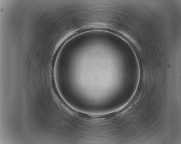 X0000083611325200702201239