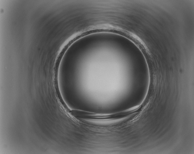 X0000083611326200702201239