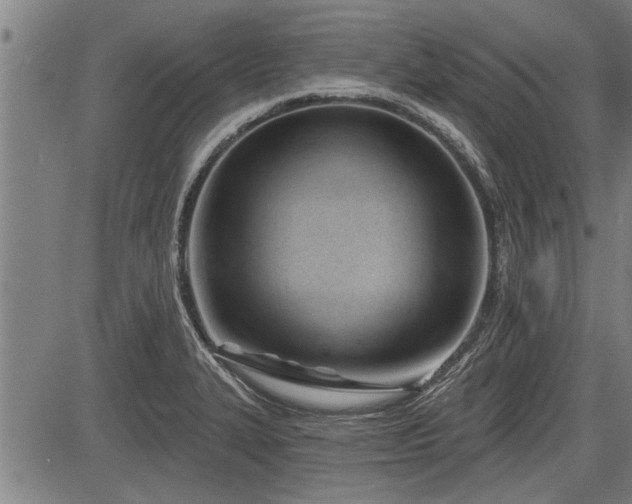 X0000083611327200702201239