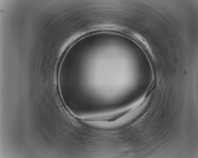 X0000083611328200702201239