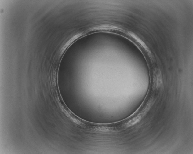 X0000083611329200702201239