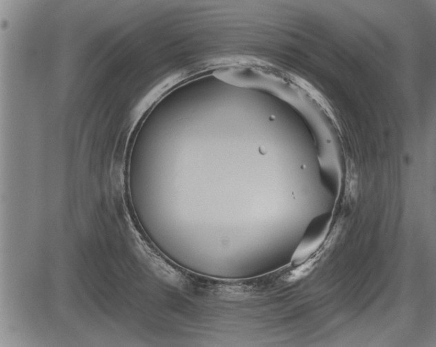 X0000083611330200702201239