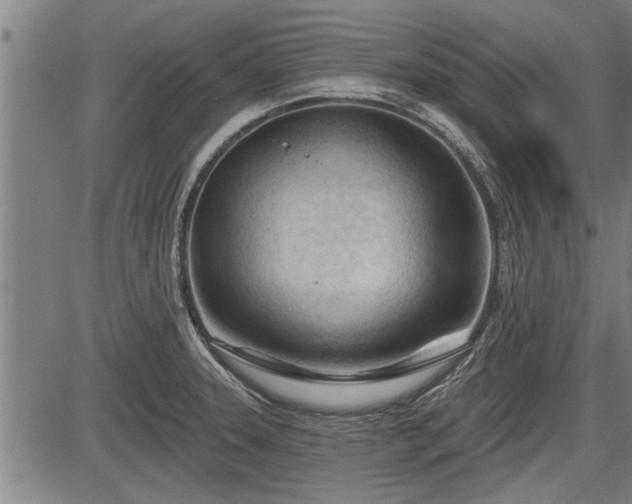 X0000083611331200702201239