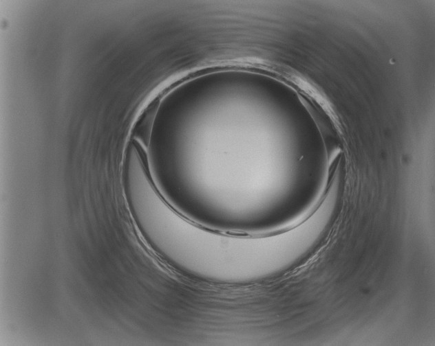 X0000083611332200702201239