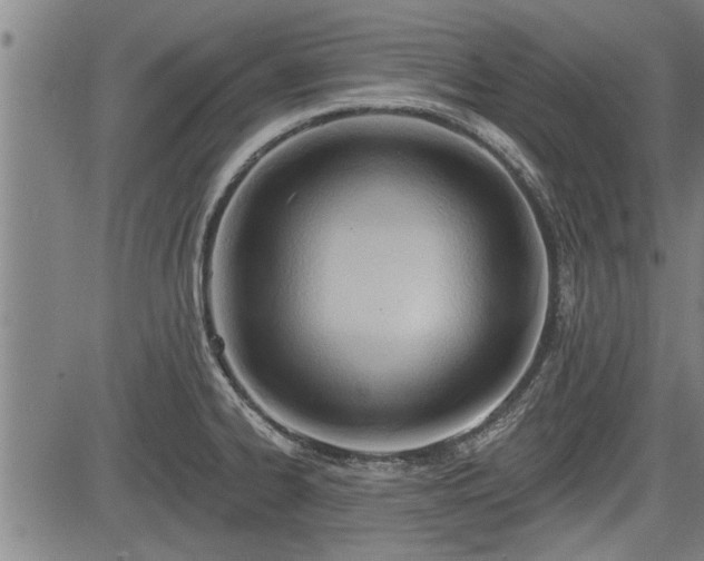 X0000083611334200702201239