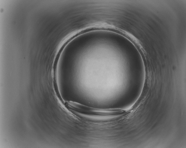 X0000083611335200702201239