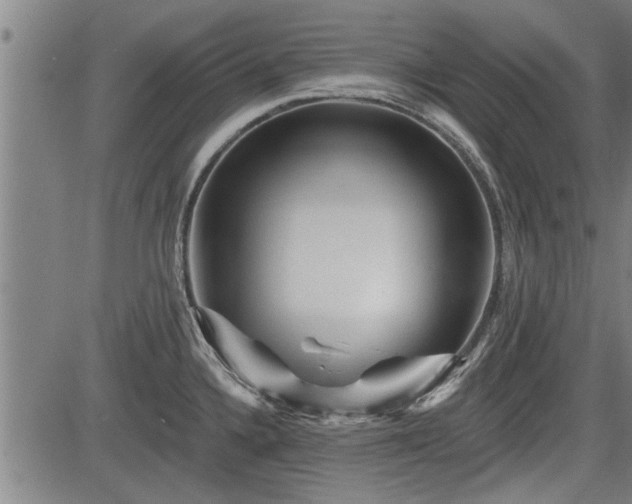 X0000083611336200702201239