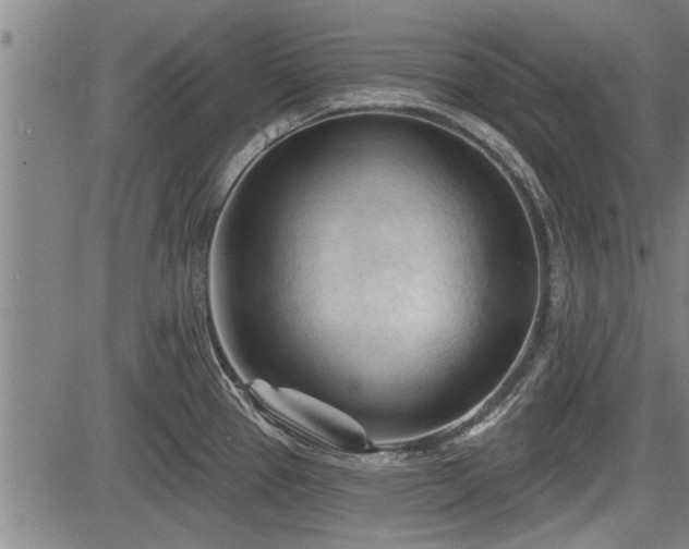 X0000083611337200702201239