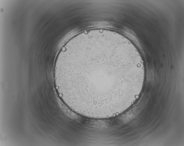 X0000083611338200702201239