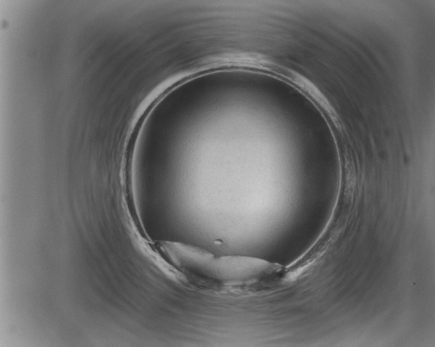 X0000083611339200702201239