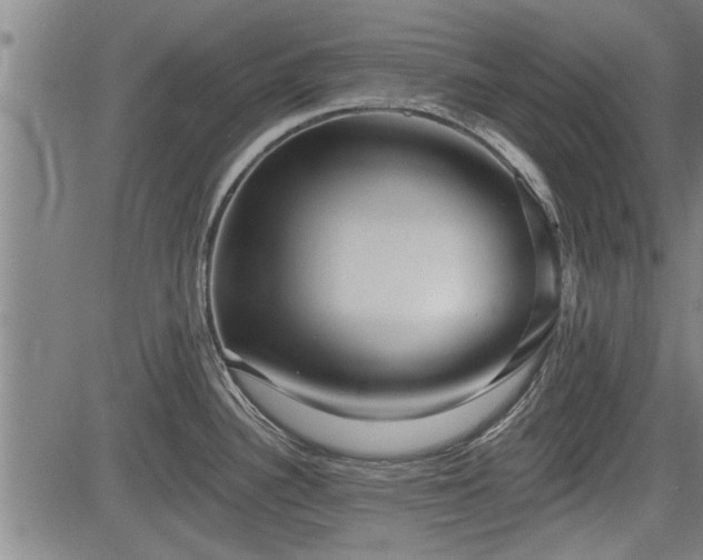 X0000083611340200702201239