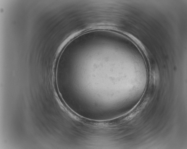 X0000083611341200702201239