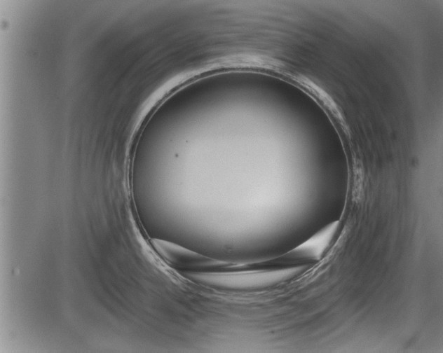 X0000083611342200702201239