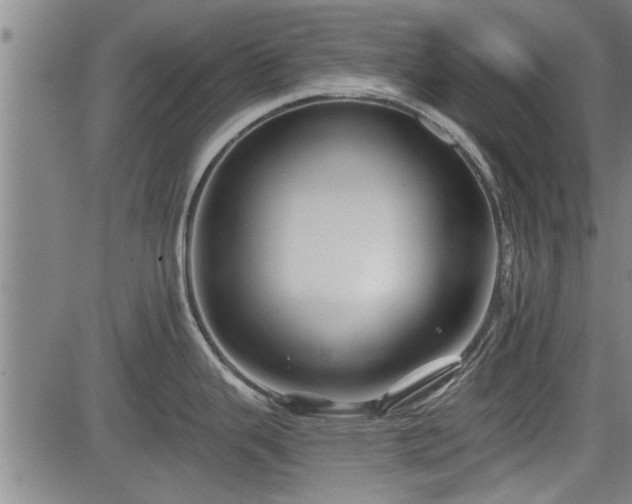 X0000083611343200702201240