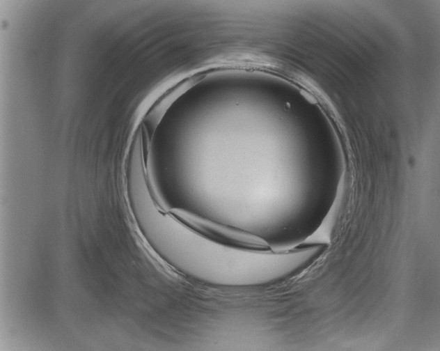 X0000083611344200702201240