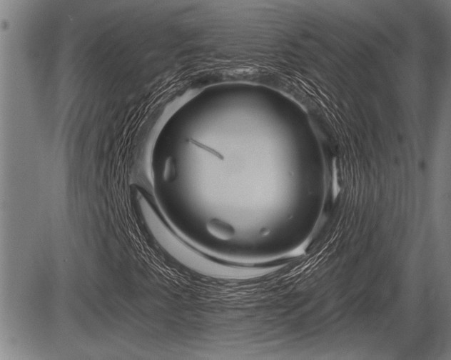 X0000083611345200702201239