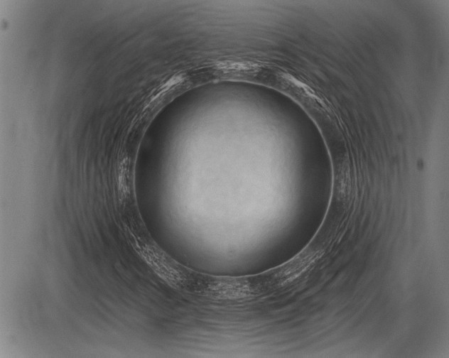 X0000083611346200702201239