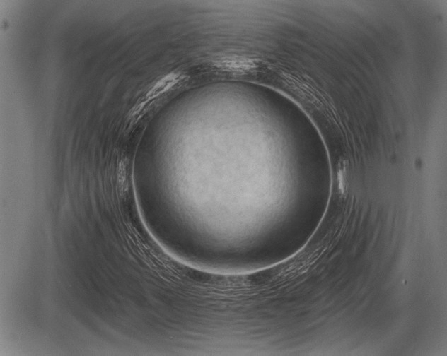 X0000083611347200702201239