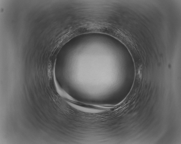 X0000083611348200702201239