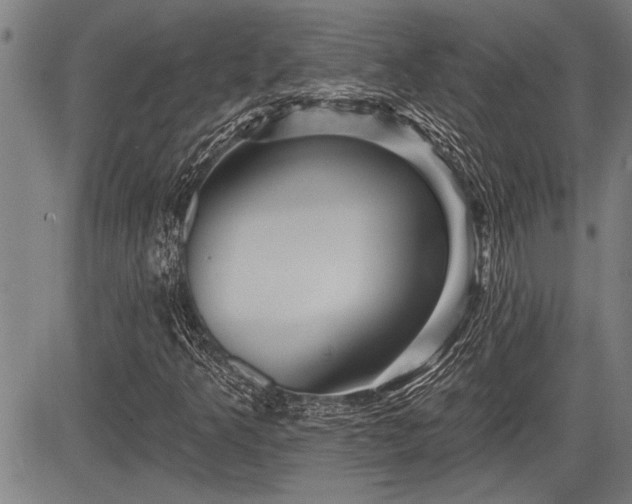 X0000083611349200702201239