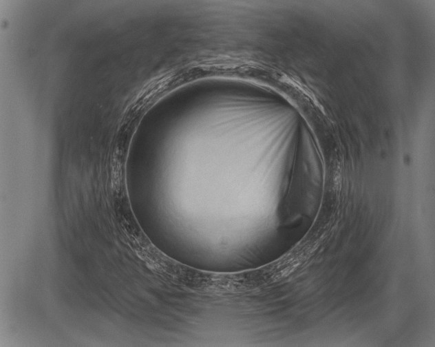 X0000083611350200702201239