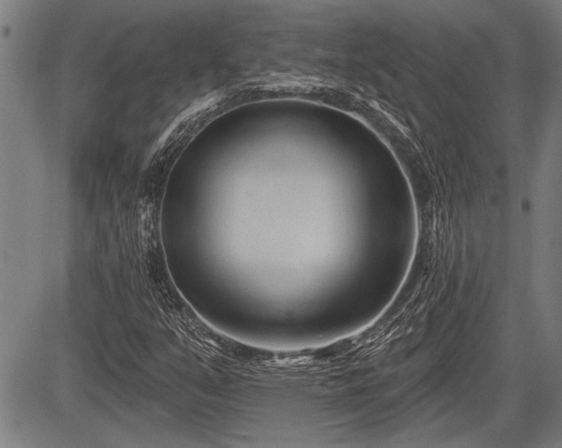 X0000083611351200702201239